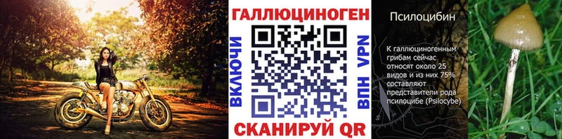 Галлюциногенные грибы Magic Shrooms  Красавино 